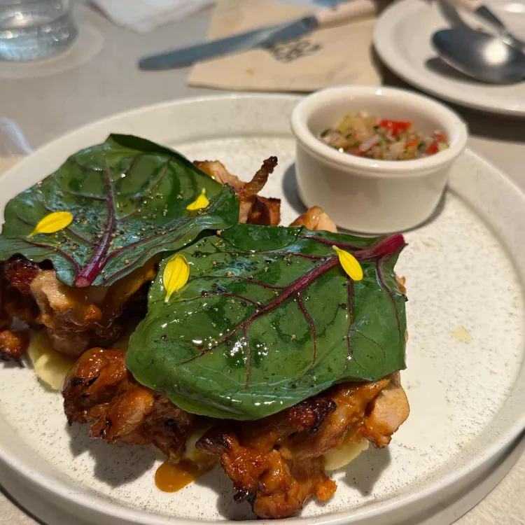 심퍼티쿠시 사진