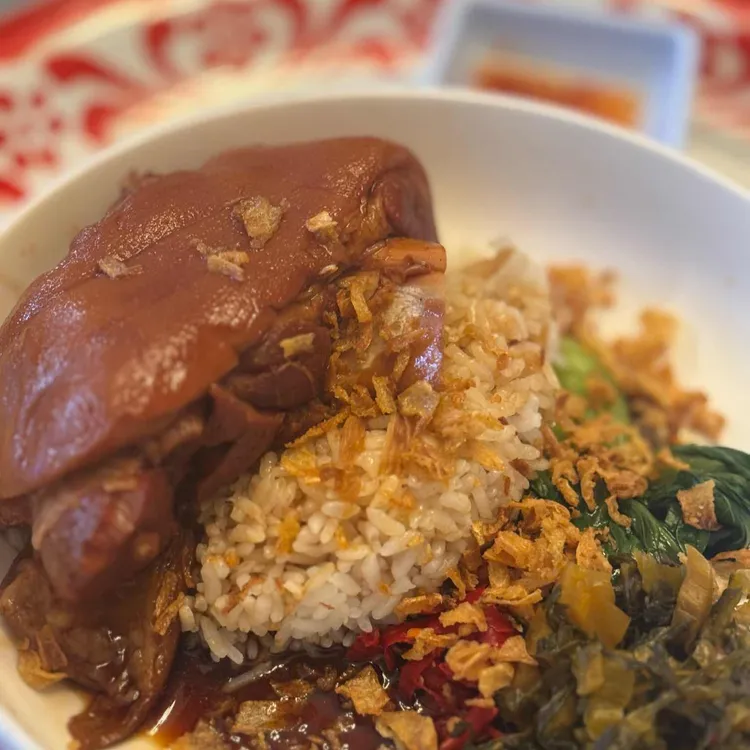 서보 사진