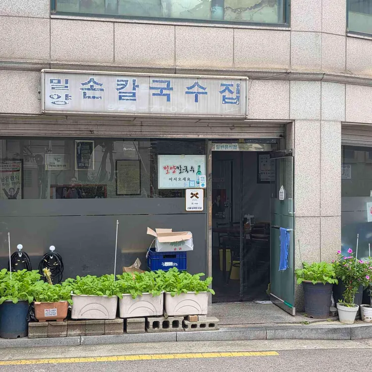 밀양 손칼국수 사진