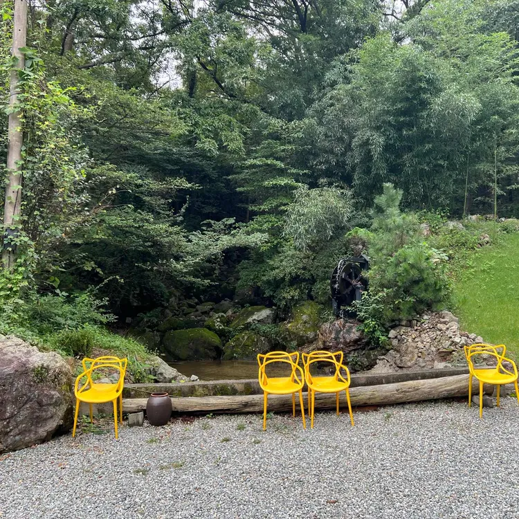 라미 대표 사진