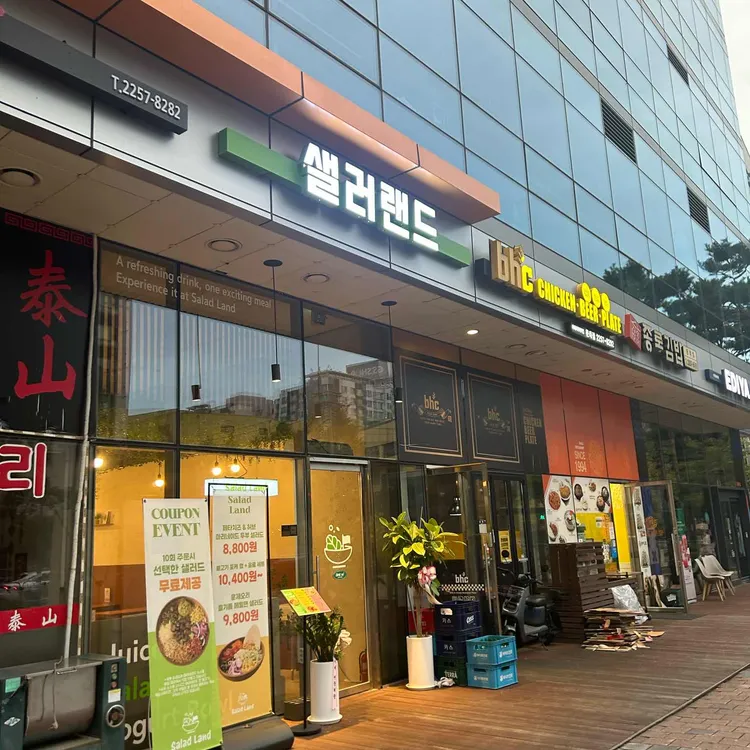 샐러랜드 대표 사진