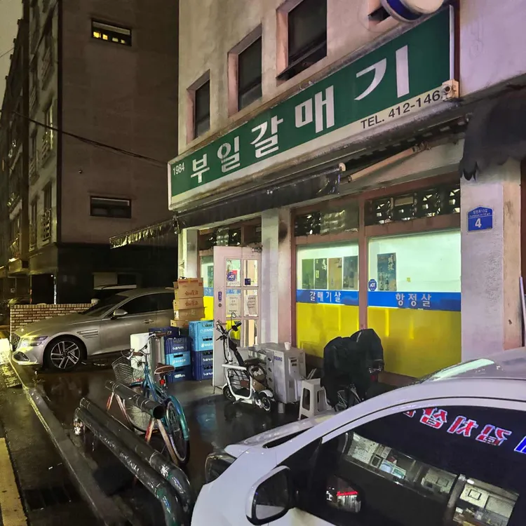 부일갈매기 사진