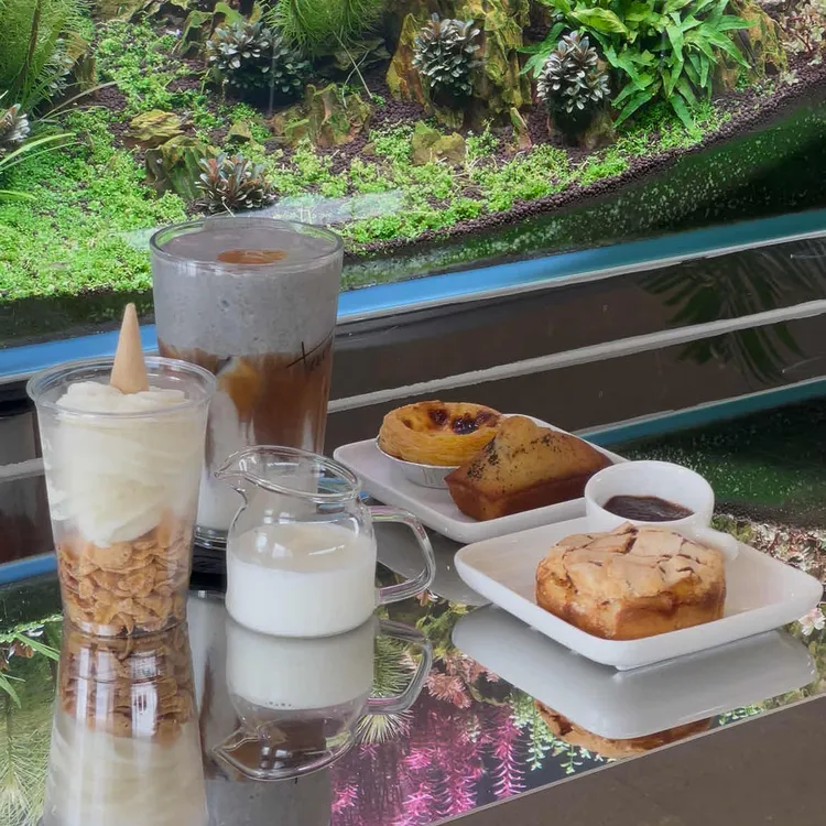 태미 대표 사진