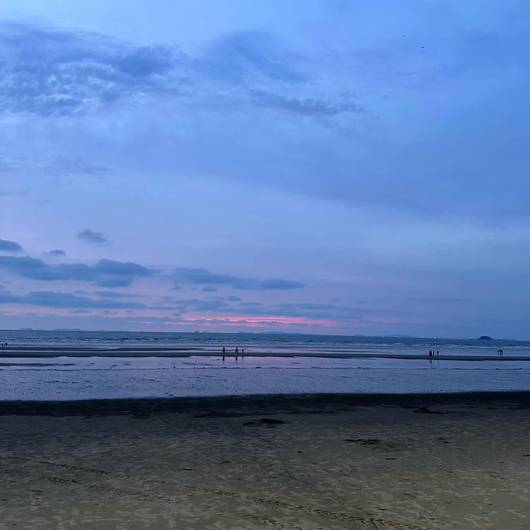 원조 조개박사 대표 사진