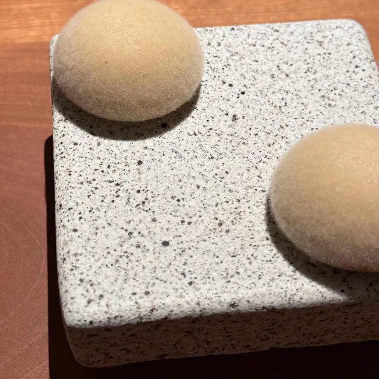 모수 대표 사진