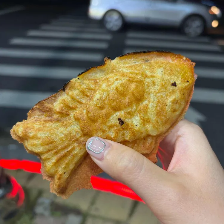 금빛 잉어 대표 사진