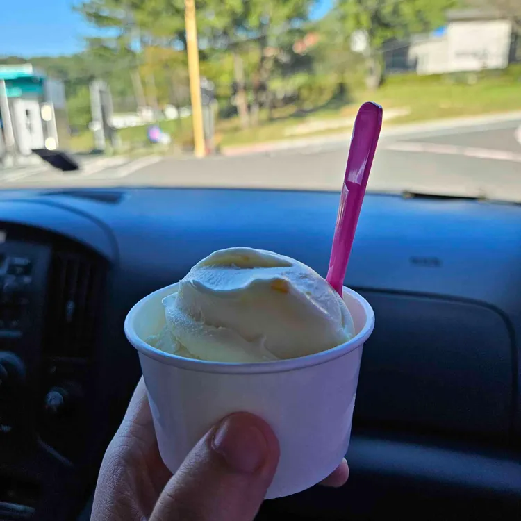 그뤼너가르텐 대표 사진