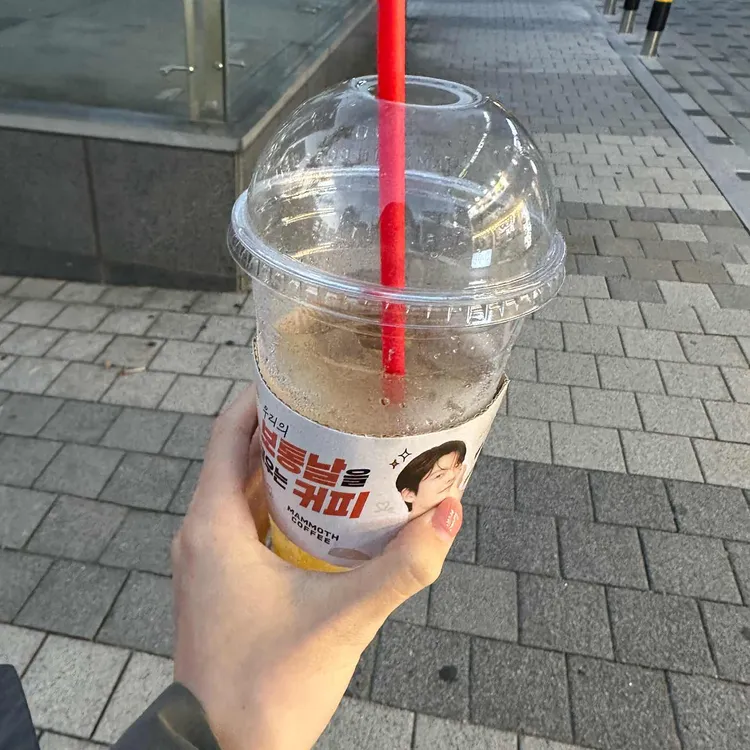 매머드익스프레스 대표 사진