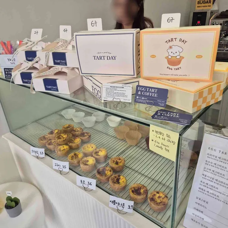 타르트데이 대표 사진