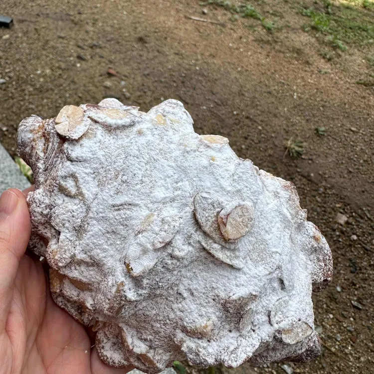 베이커리 피에스 대표 사진