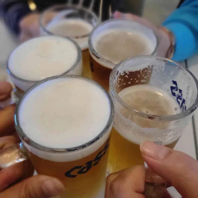 하입볼 대표 사진