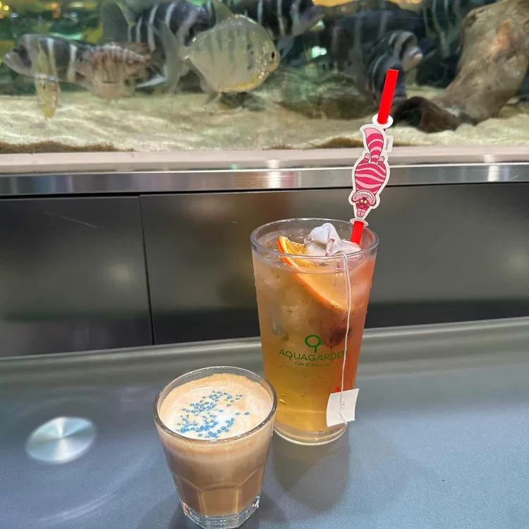 아쿠아가든카페 사진