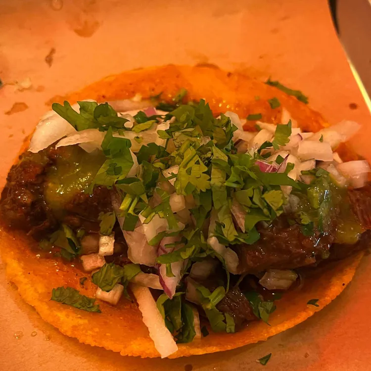 타코 비리아 사진