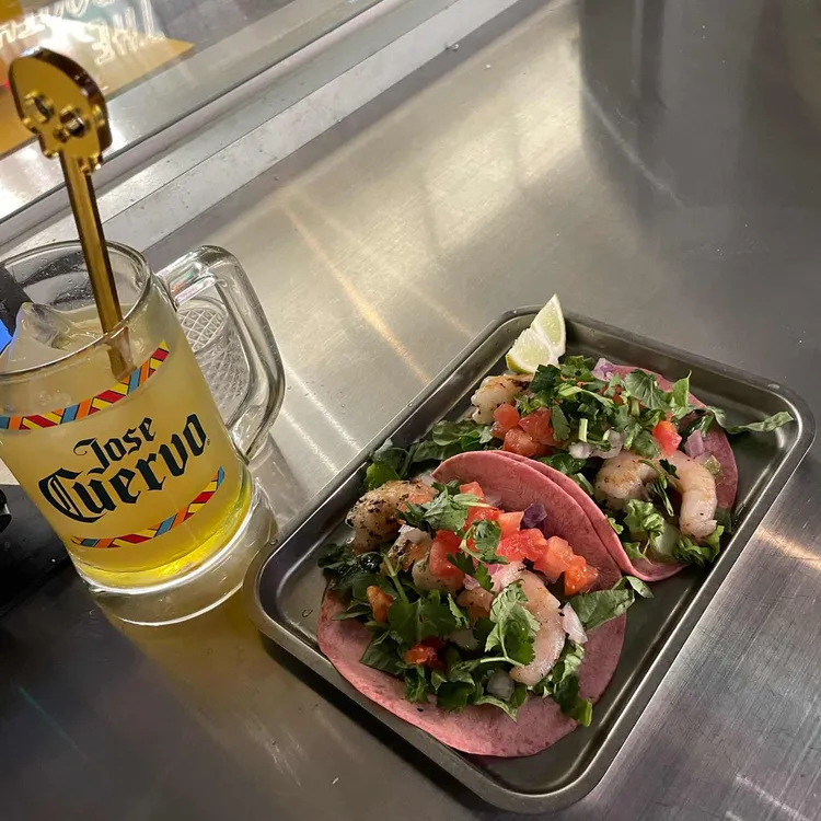 더타코부스 사진