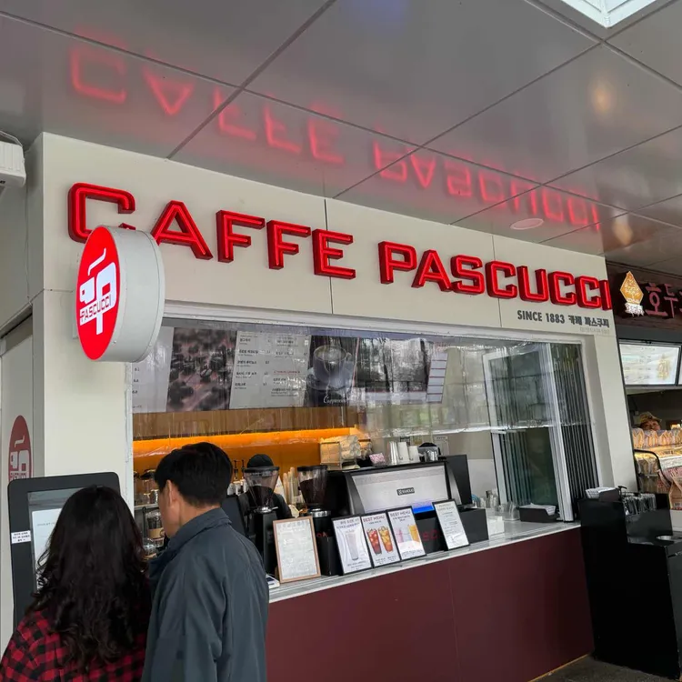 파스쿠찌 대표 사진