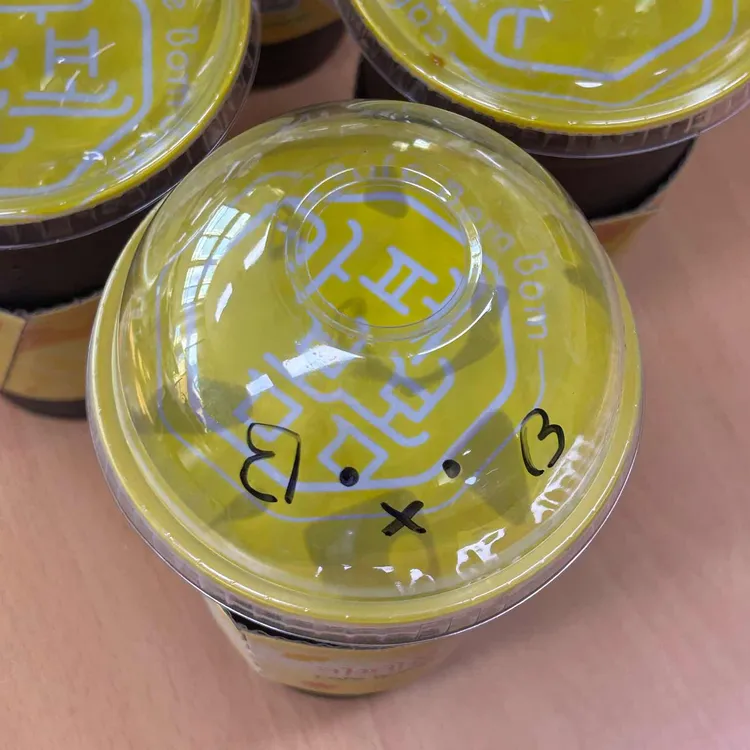 카페 봄봄 대표 사진