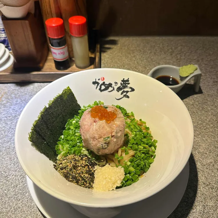 거북이의꿈 사진