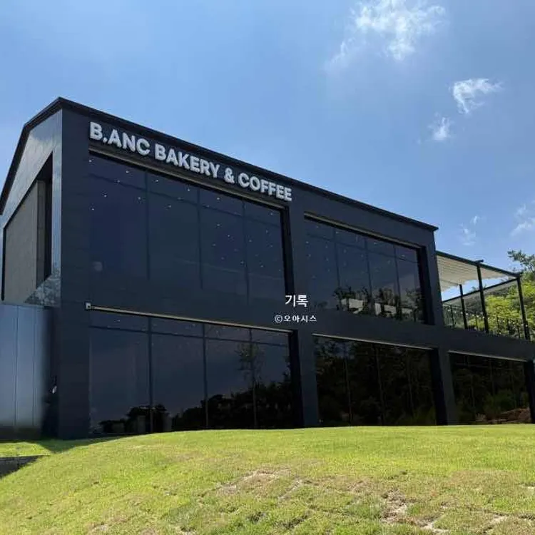 비안크 대표 사진