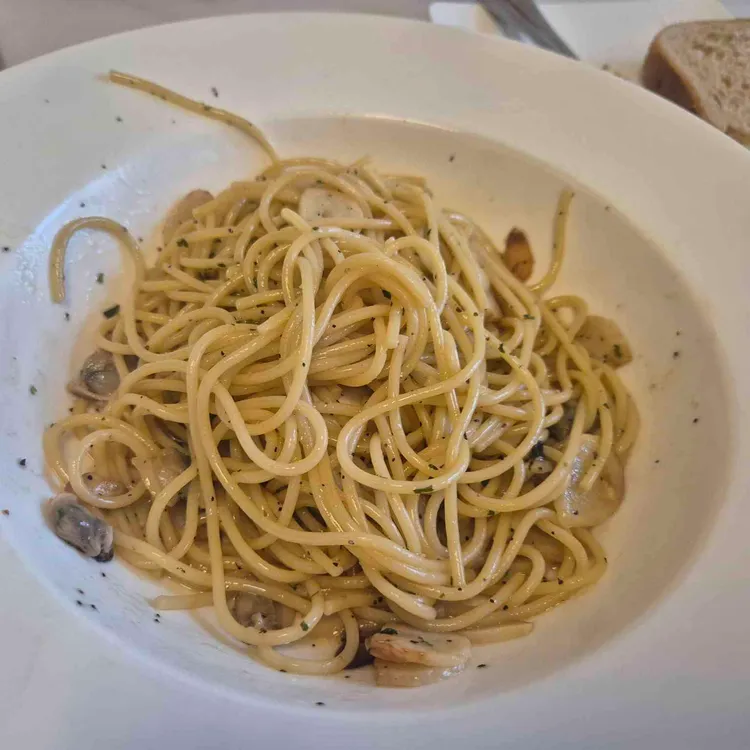 스타라이트 대표 사진