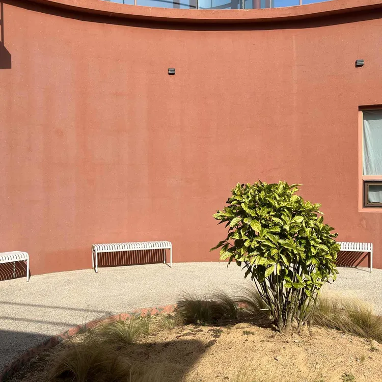 커피인터뷰 파도리 사진