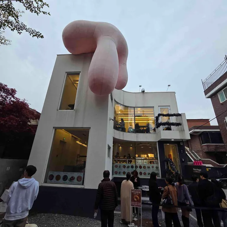 베이크모굴 사진