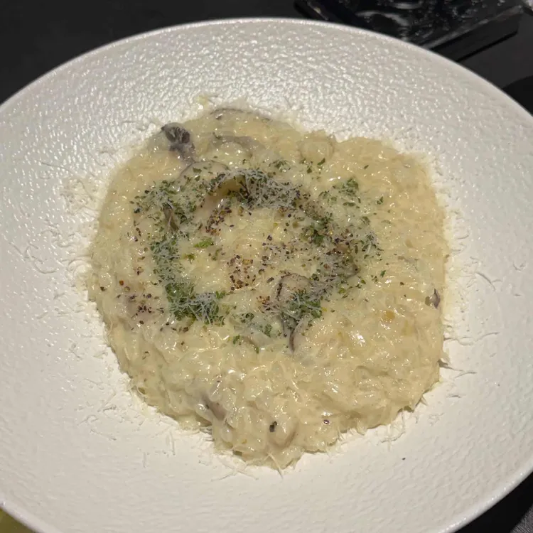 엘씨오 대표 사진