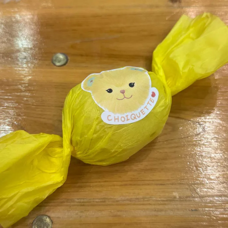 슈와게뜨 대표 사진