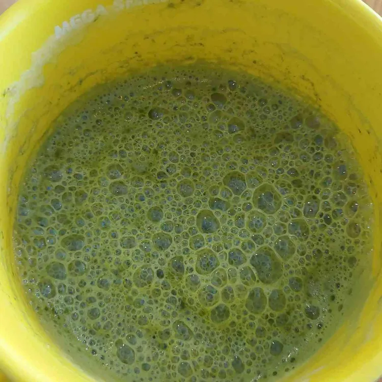 메가MGC커피 대표 사진