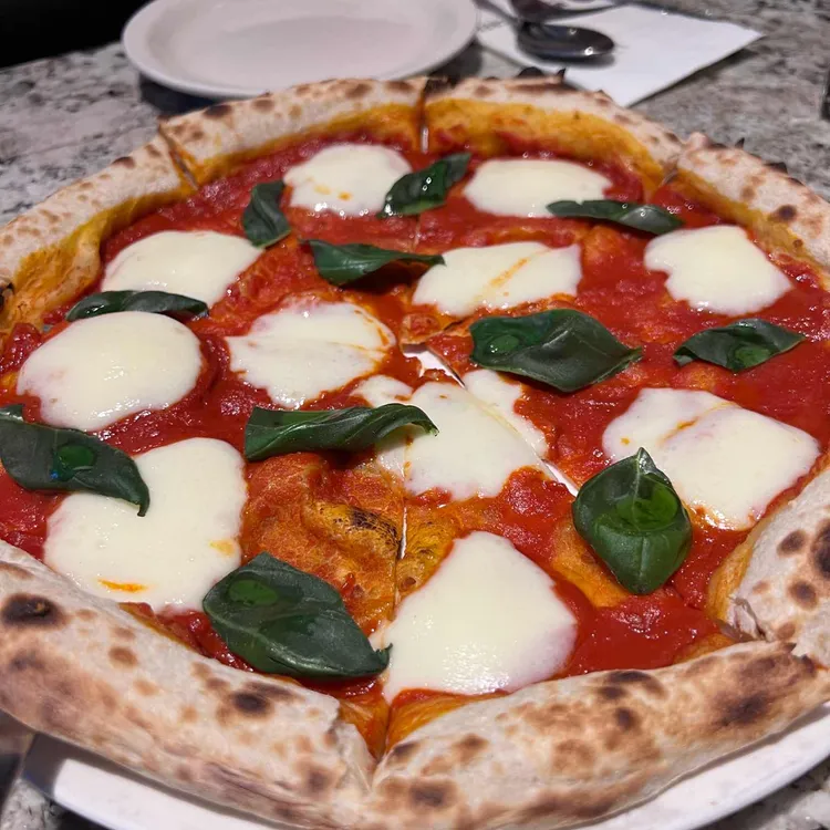 마노디셰프 사진