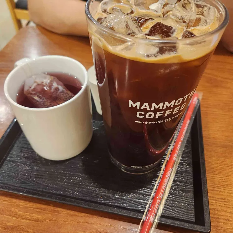 매머드익스프레스 대표 사진