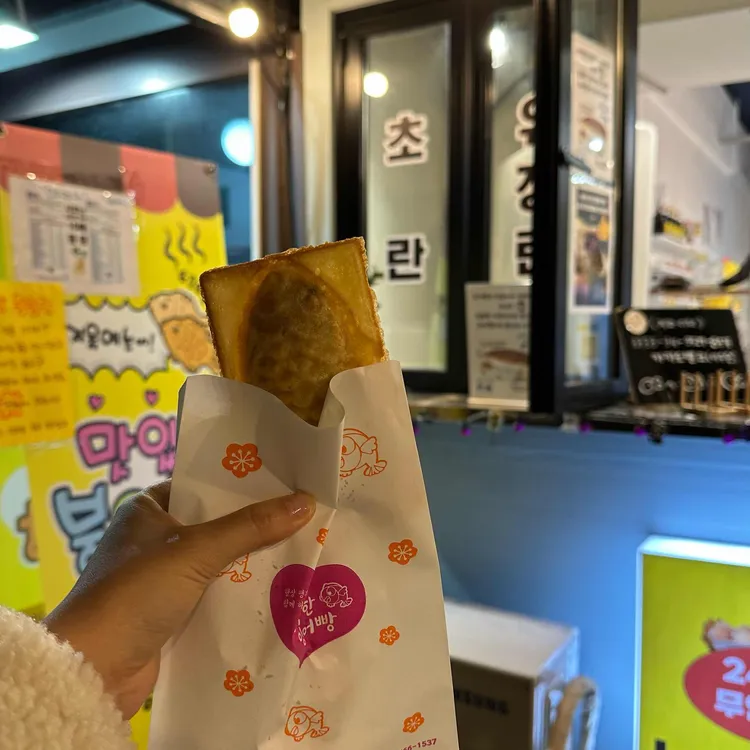 노란계란 대표 사진