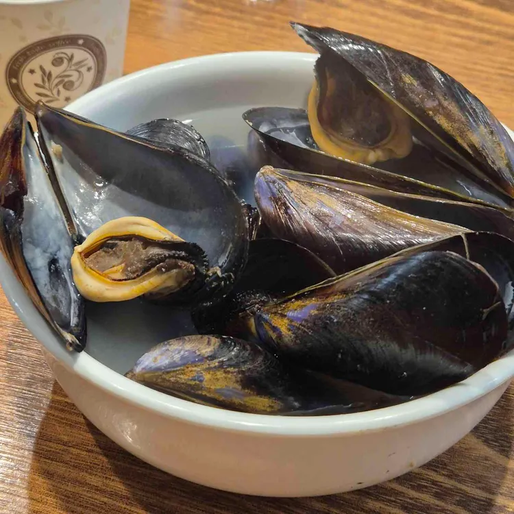 유동골뱅이 사진