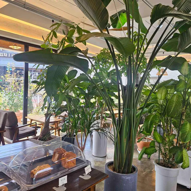 카페음미 대표 사진