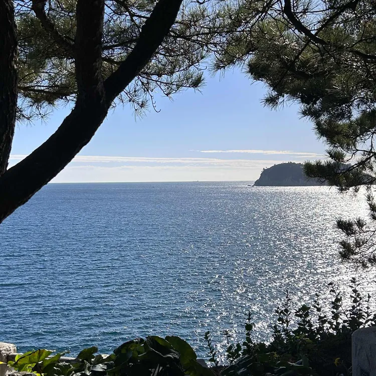 허니문하우스 사진