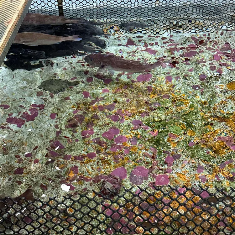 용수산회포장 대표 사진