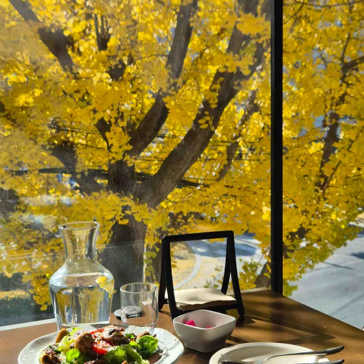 오를로 대표 사진