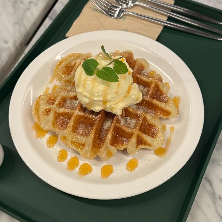 모퉁 대표 사진