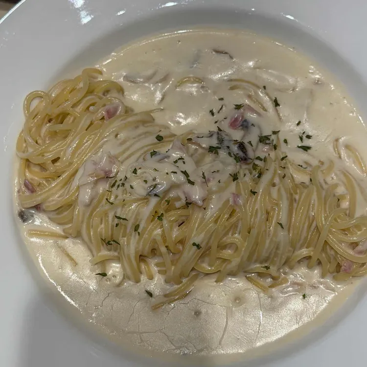 아델라7 대표 사진