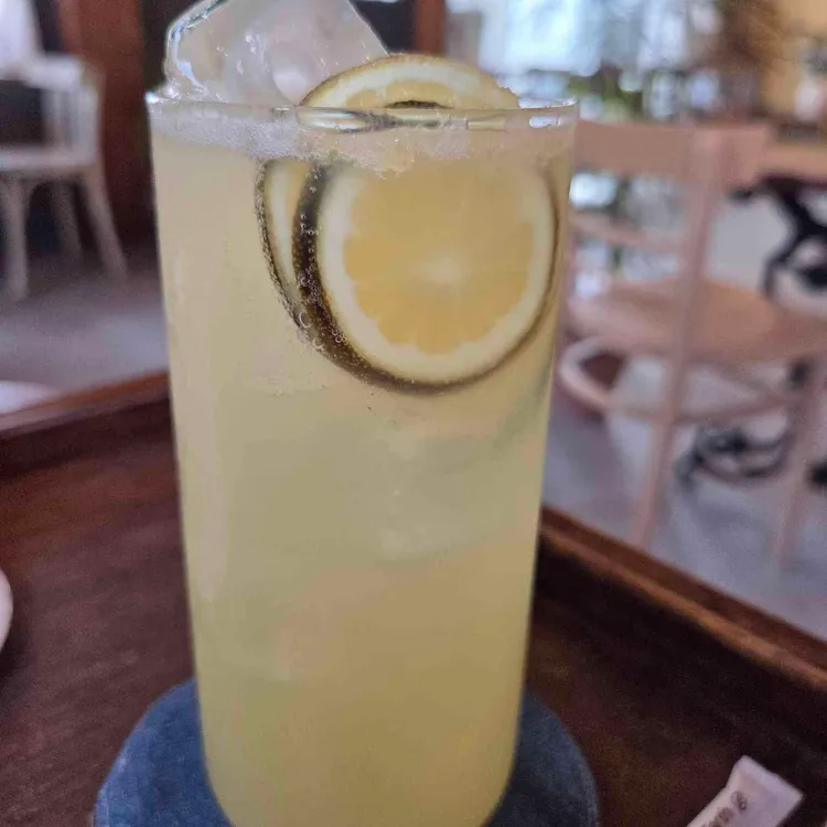 코기토 cogito 대표 사진