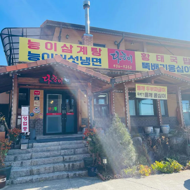 다능이 대표 사진