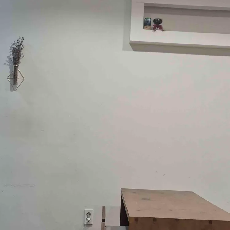 연어회상 대표 사진