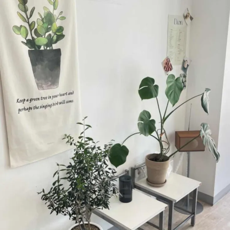 카페디온 대표 사진