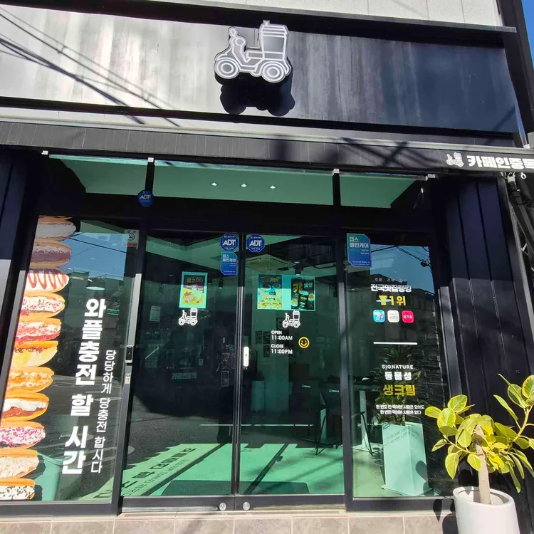 카페인중독 대표 사진