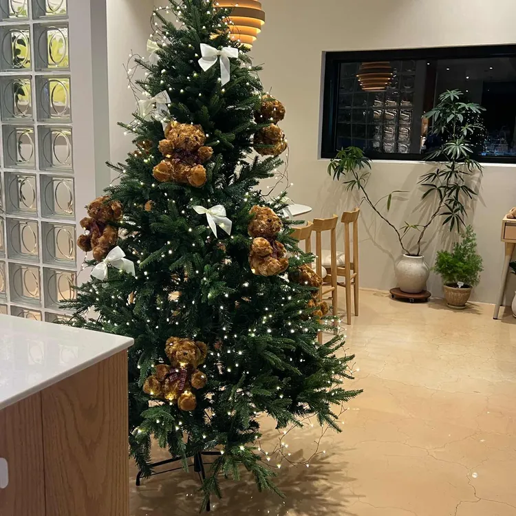 브라운베어 대표 사진