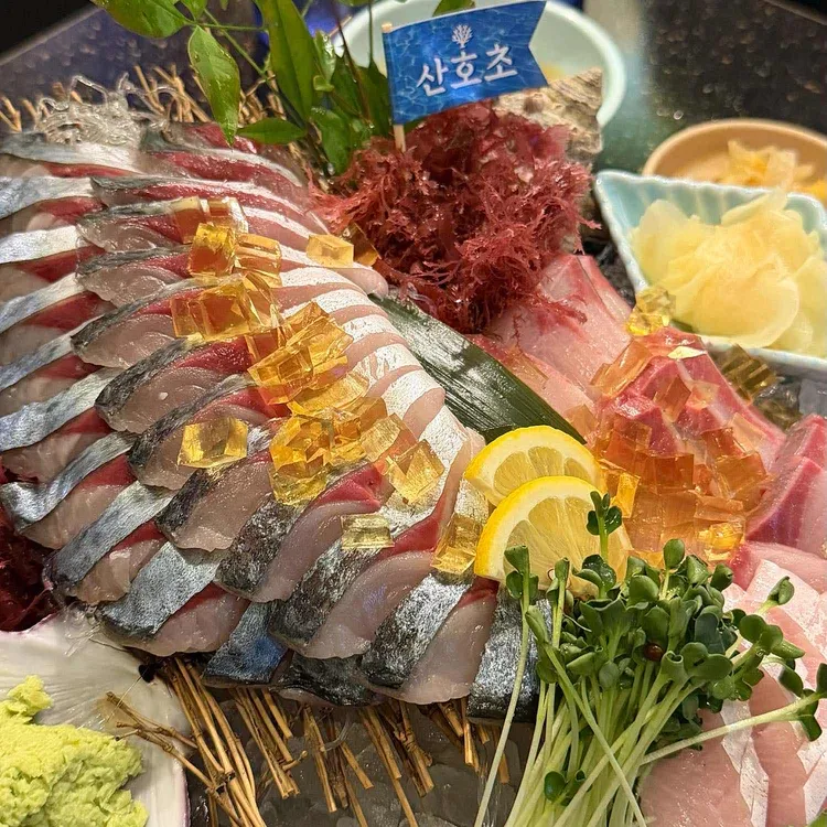 산호초 대표 사진