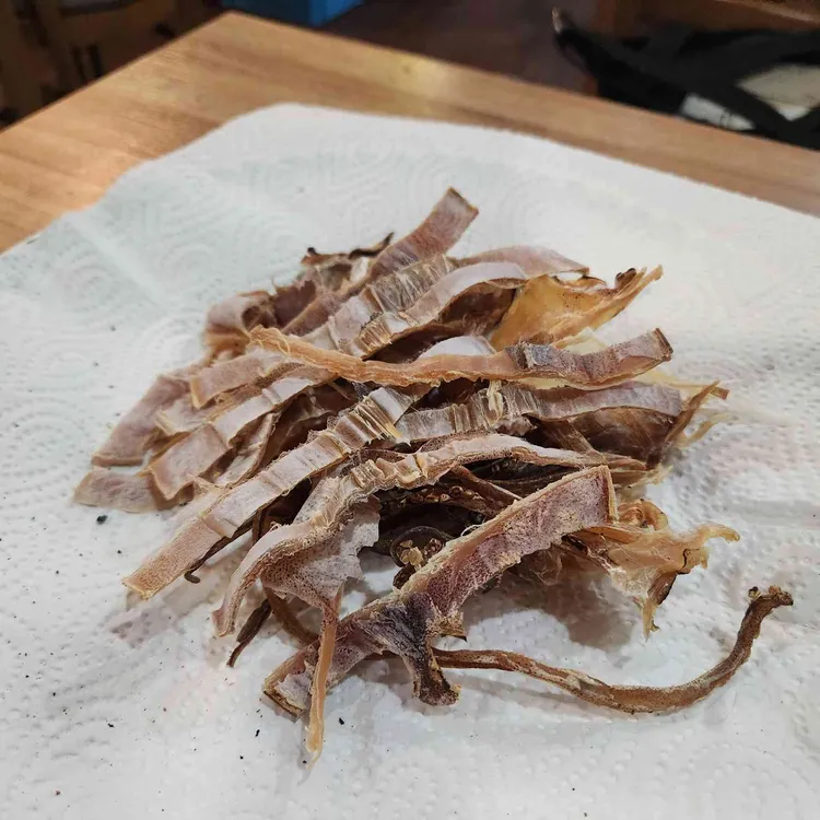 서울무지개호프 대표 사진