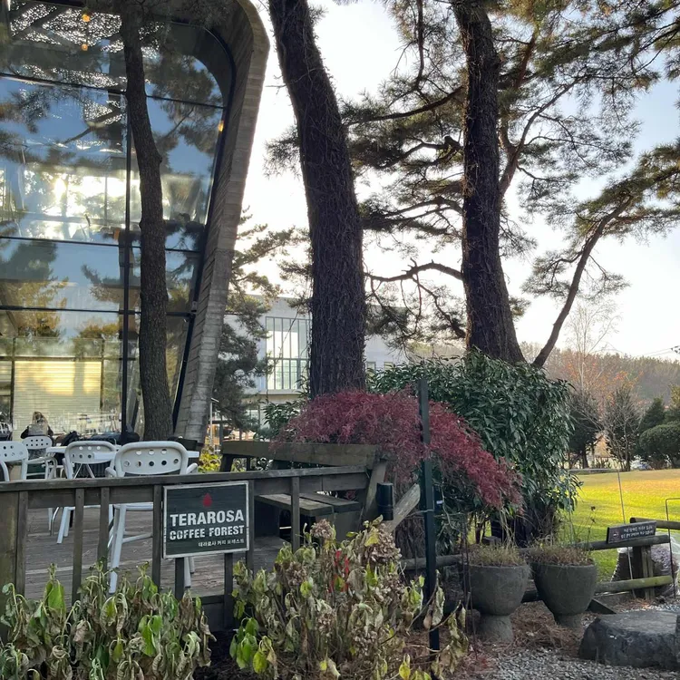 테라로사 사진