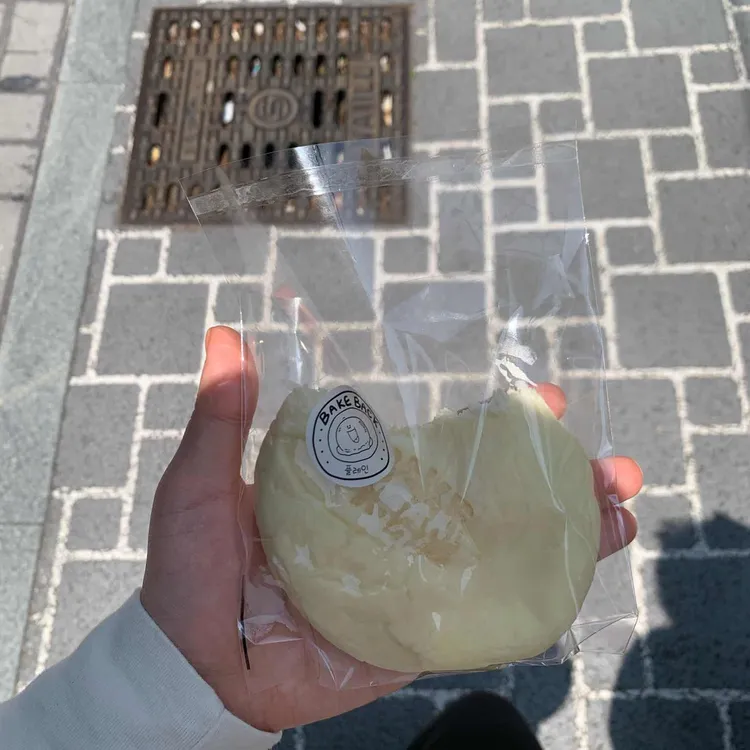 베이크백 사진