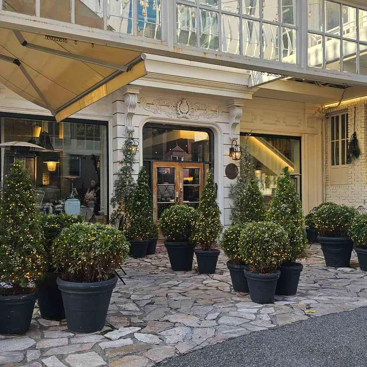 빠니드 엠 무니 사진