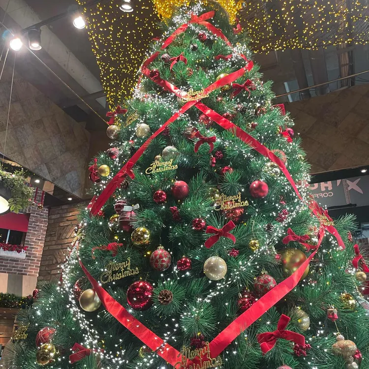 홀리 크로스 사진